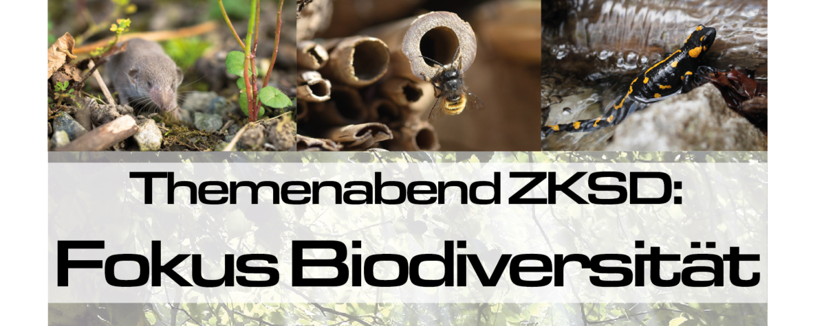 Ankündigung Themenabend ZKSD: Fokus Biodiversität